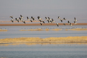 طبیعت گردشگری قم 22