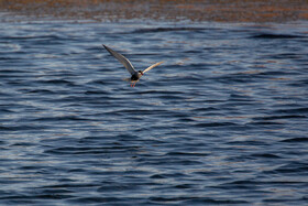 طبیعت گردشگری قم 31