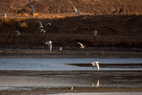 طبیعت گردشگری قم 30