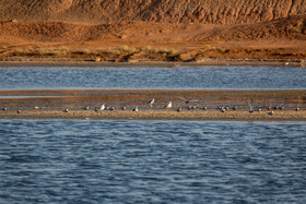 طبیعت گردشگری قم 28