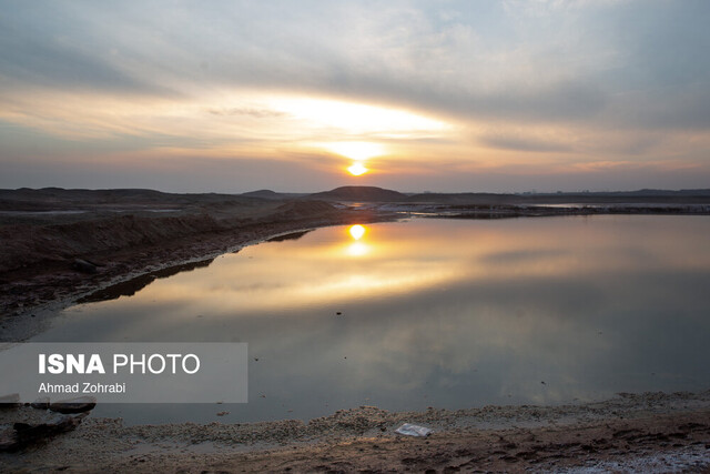 برنامه‌ریزی جداگانه برای مدیریت هر یک از تالاب‌های کشور