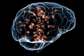 مدلسازی مغز در مراحل مختلف خواب توسط محققان دانشگاهی