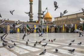 ترتیل خوانی در حرم عبدالعظیم حسنی (ع) 11