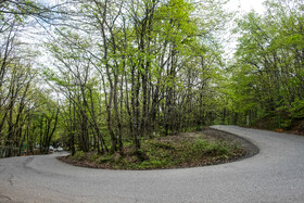 بهار در گیلان 22