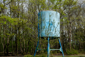 بهار در گیلان 19