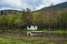 بهار در گیلان 15