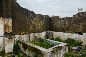 بهار در گیلان 5