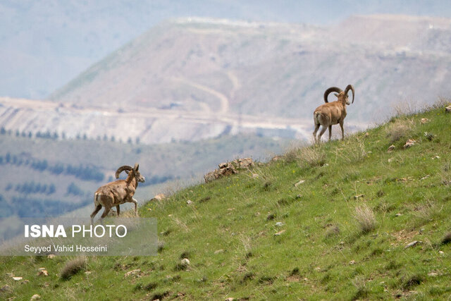 بایدها و نبایدهای درآمدزایی از مناطق حفاظتشده بایدها و نبایدهای درآمدزایی از مناطق حفاظتشده