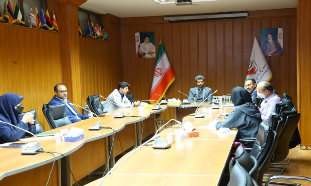 ارائه برنامه گزینههای سرمربیگری تیم ملی تکواندوی بانوان به کمیته فنی