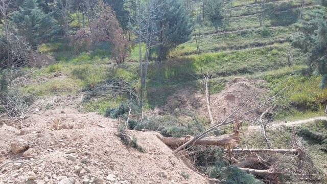 ماجرای جدال دانشگاه تهران و شهرداری چه بود؟