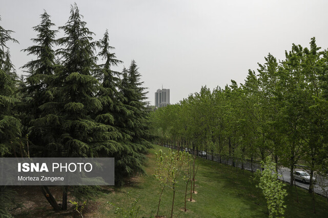 کاهش ۳ تا ۶ درجه‌ای دمای هوا در سواحل شمالی کشور