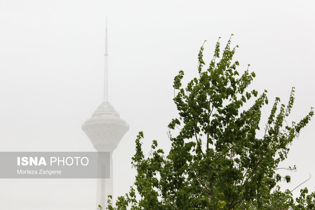 احتمال ورود کمیسیون بهداشت به موضوع ریزگردها در هفته آتی