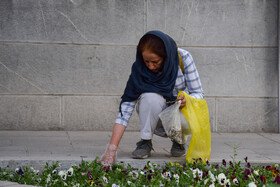 اجرای پویش نه به ته سیگار در اصفهان