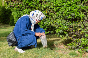 اجرای پویش نه به ته سیگار در اصفهان