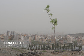 غبار رقیق محلی در نواحی پرتردد تهران