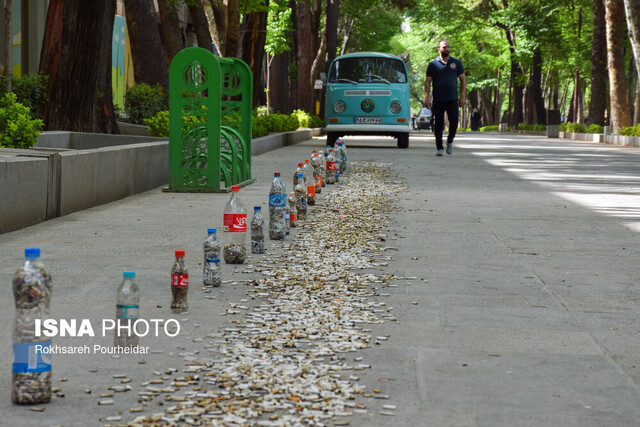 نجات چهارباغ از ته سیگار  نجات چهارباغ از ته سیگار