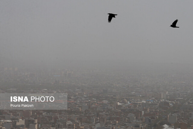 عکس تزیینی است. شاخص هوای انار در محدوده خطرناک