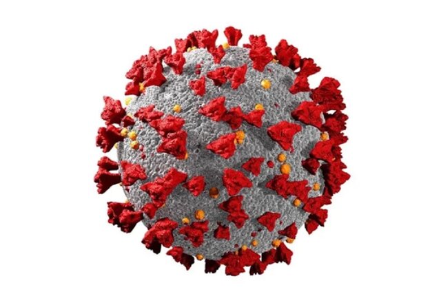 آمار چشمگیر مرگ و میر ناشی از کووید -19 در افراد مبتلا به HIV