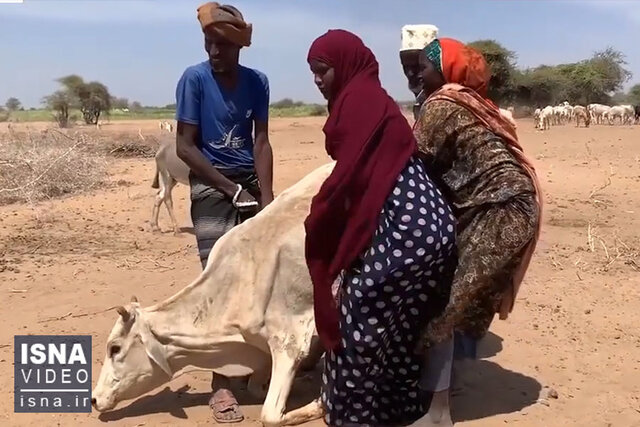 نگاهی به تیتر یک روزنامه های جهان