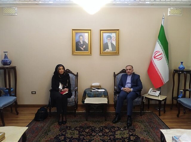 دیدار معاون نماینده ویژه سازمان ملل با سفیر ایران در دمشق دیدار معاون نماینده ویژه سازمان ملل با سفیر ایران در دمشق