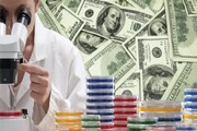 از دست رفتن ثروت حاصل از ۳۰۰ هزار مقاله به خاطر مهاجرت