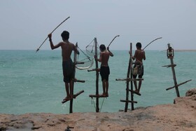 «اقیانوس پشت پنجره» در جشنواره لهستانی