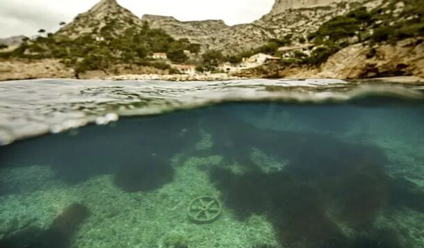 خطر ضدآفتابها برای علفهای دریایی مدیترانه