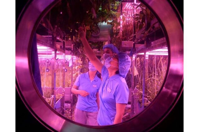 رؤیای چین تحقق یافت