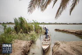 ویدئو / معلمی آن‌ور آب!