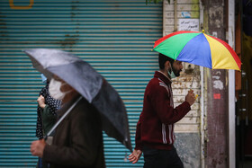 طراوت باران بهاری - همدان