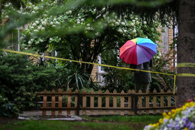 طراوت باران بهاری - همدان