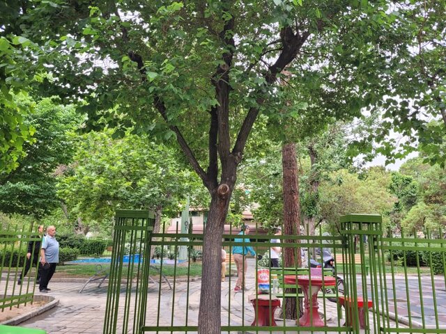 زنان آنسوی نرده پارکها؛ آقایان وارد نشوند!