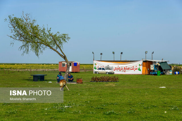 محیط زیست در سالی که گذشت؛ تجربه هوای خطرناک/ مرگ «پیروز»