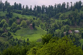 روستای استخرگاه در دامنه عروس کوه‌های گیلان، درفک و در دل جنگل‌های سرسبز و زیبای گیلان جا خوش کرده است.