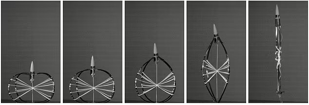 رباتی که تا ۱۰۰ برابر طول خود به هوا میپرد!