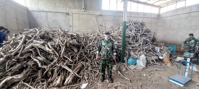 کشف ۱۲۰ تن چوب جنگلی قاچاق در آمل  کشف ۱۲۰ تن چوب جنگلی قاچاق در آمل