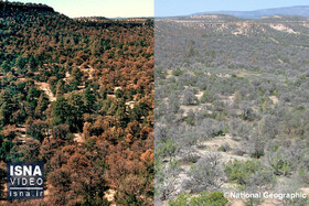 ویدئو / ۴۰ درصد از خشکی‌های جهان تخریب شده‌اند