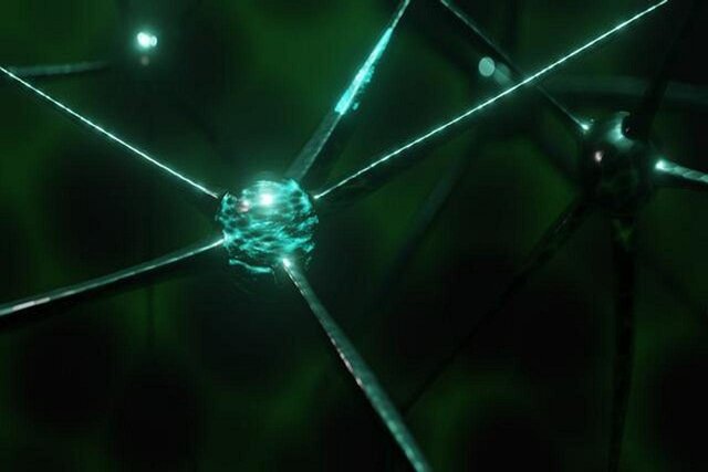 بررسی سلولهای مغز موش با کمک هوش مصنوعی بررسی سلولهای مغز موش با کمک هوش مصنوعی