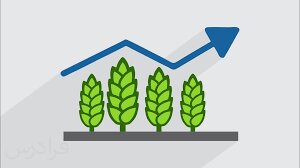کارگاه «تجزیه طرح ها و آزمایشات کشاورزی با نرم افزار SAS» برگزار می‌شود
