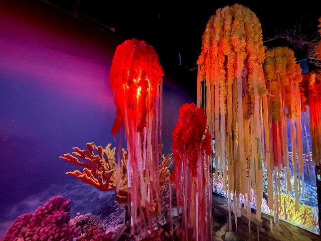 نمایشگاهی برای نمایش تغییرات اقلیمی