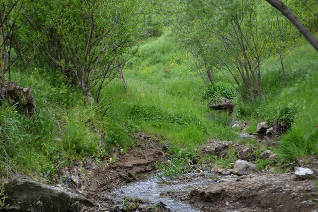 شولهلر درهسی - منطقه قوزلو مغان