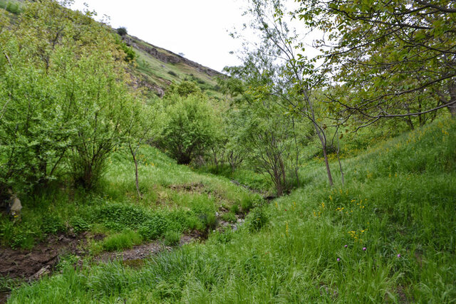 شولهلر درهسی - منطقه قوزلو مغان