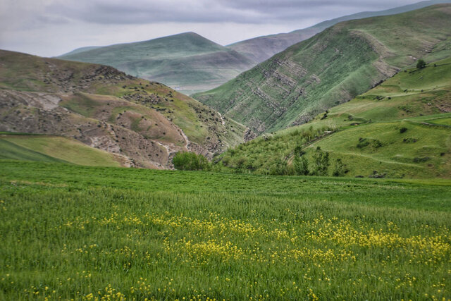 شولهلر درهسی - منطقه قوزلو مغان