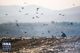 ویدئو / هزار وعده برای کوه زباله سراوان؛ نیروگاه زباله‌سوز به کجا رسید؟