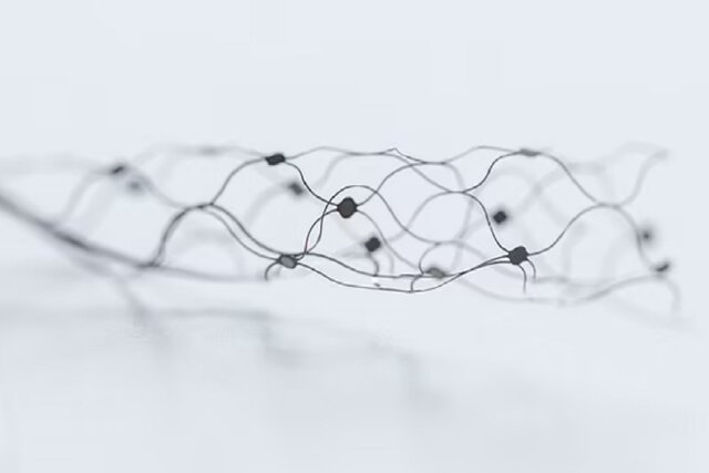 پیدا شدن یک رقیب برای تراشه مغزی "ایلان ماسک"!