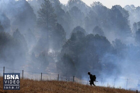 ویدئو / تداوم آتش‌سوزی گسترده نیومکزیکو بعد از یک ماه