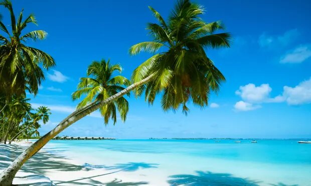 مرگ مشکوک ۳ گردشگر در یک جزیره