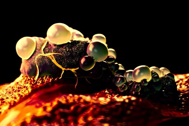 پیشگیری از ابتلا به دیابت در اثر ایمنیدرمانی سرطان با سلولهای بنیادی پیشگیری از ابتلا به دیابت در اثر ایمنیدرمانی سرطان با سلولهای بنیادی