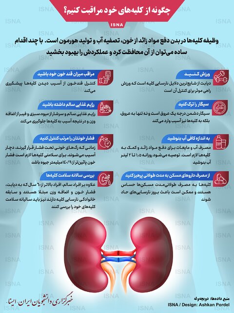 اینفوگرافیک / چگونه از کلیههای خود مراقبت کنیم؟