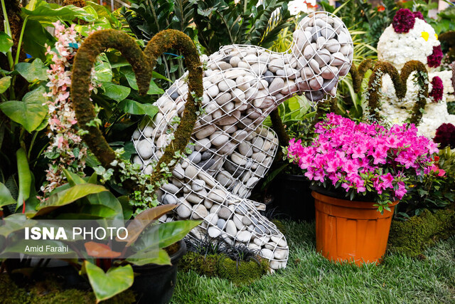 عکس تزیینی است بررسی ایمنی بازار گل و گیاه محلاتی